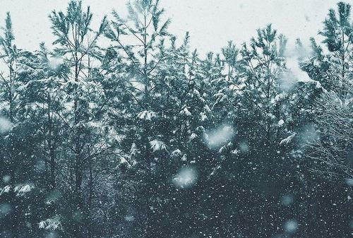 023-christmas-goodies-tree