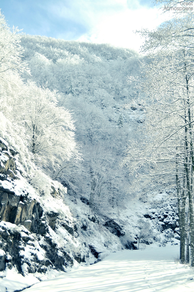 Cold-Winter-Morning-full-of-white-great-atmosphere-165-1