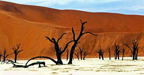 3_Dead_forest_Namibia_great_atmoshere