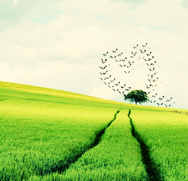 harts-shapes-in nature-15-great-atmosphere-travel