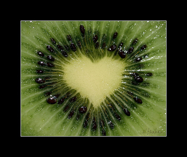 harts-shapes-in nature-17-great-atmosphere-travel