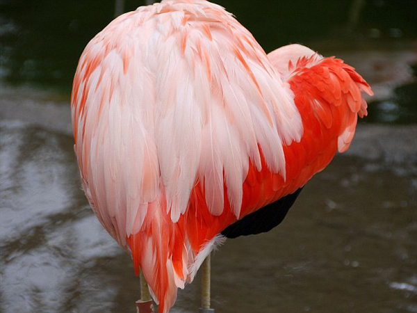 harts-shapes-in nature-19-great-atmosphere-travel