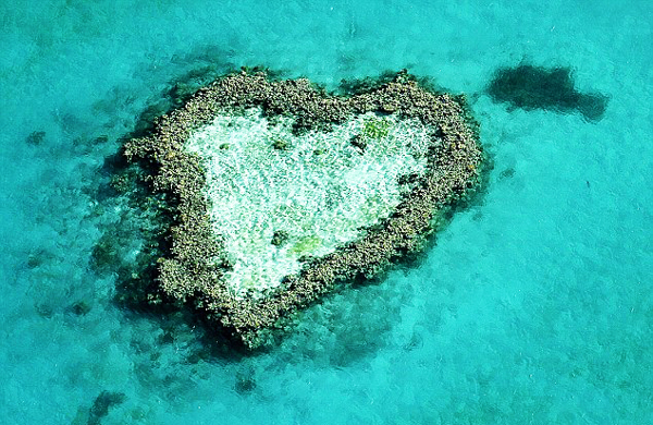 harts-shapes-in nature-2-great-atmosphere-travel