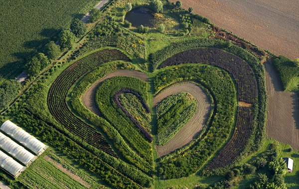 harts-shapes-in nature-5-great-atmosphere-travel