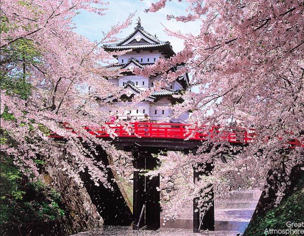 1-hirosaki-Japan-cherry-blossoms-various-cities-world-beautiful-travel-destinations-landscapes