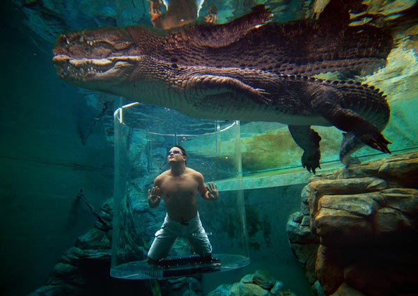 12-Crocosaurus-Cove-Australia-amazing-pools-that-you-will-like-to-dive-swimming-pool-photography