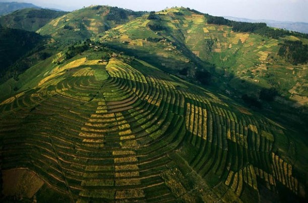 aerial-africa-11-Crops-on-terraces-Rwanda-amazing-nature