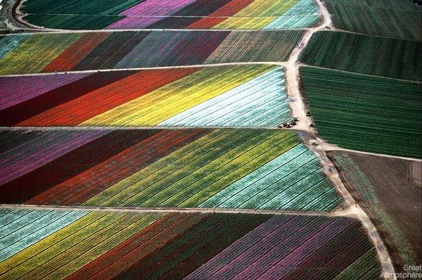 Amazing-fields-from-above-1-nature-landscapes-photography