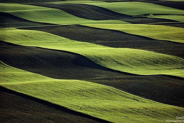 Amazing-fields-from-above-11