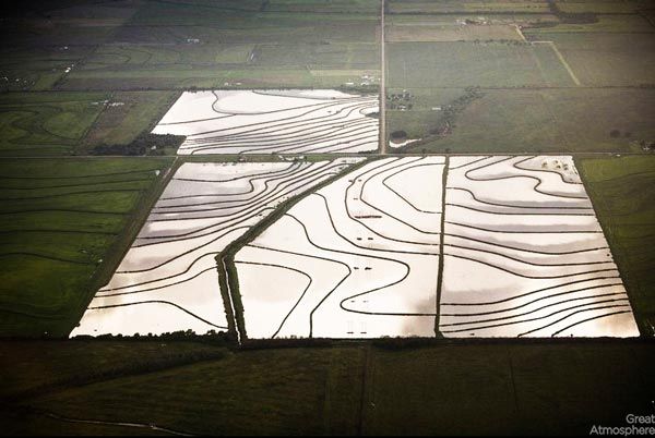 Amazing-fields-from-above-4-nature-landscapes-great-atmosphere