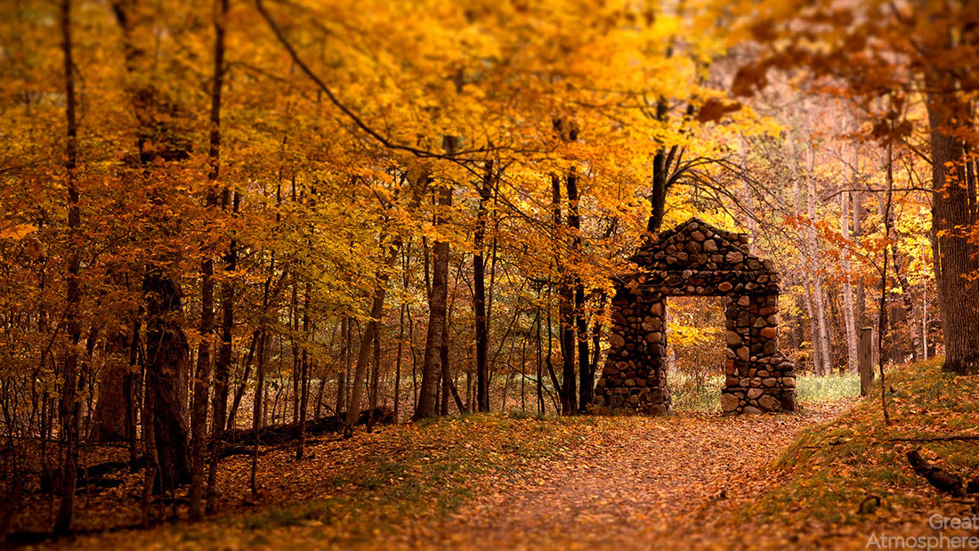 beautiful-trees-autumn-nature-amazing-photography-beautiful-yellow-landscape-great-atmosphere-wallpaper-215-1