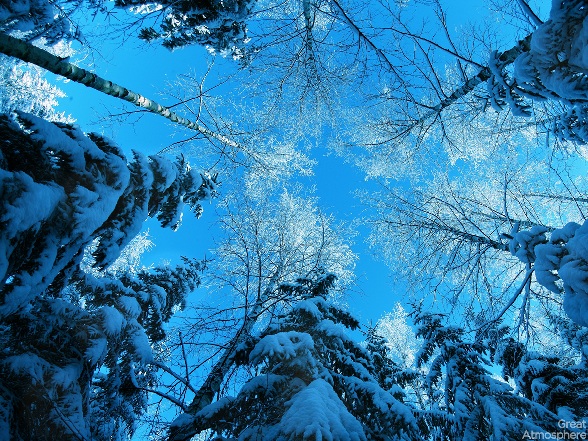 Great Atmosphere – blue winter | Great Atmosphere., image size:1200x900