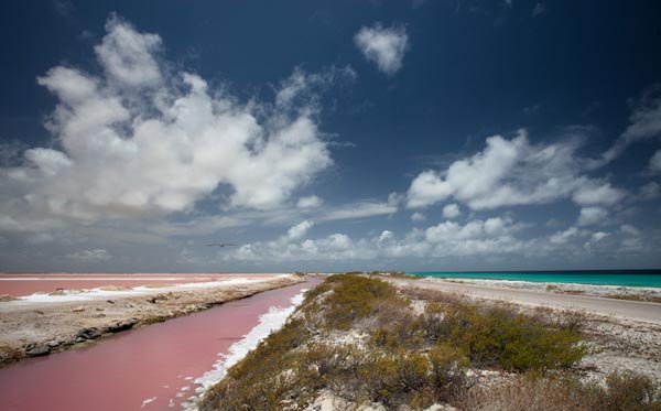 Bonaire-Dutch-Island-Caribbean-travel-destinations-great-atmosphere-photography-6