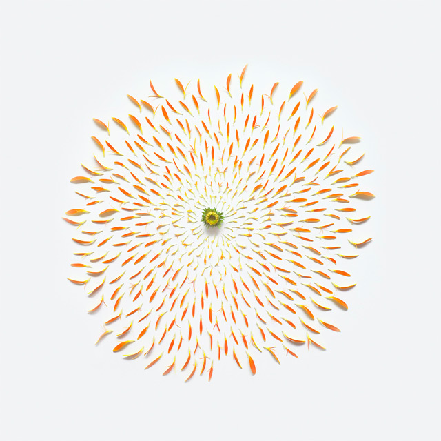 Flowers-Exploded-by-Fong-Qi-Wei-8-amazing-photography-great-atmosphere