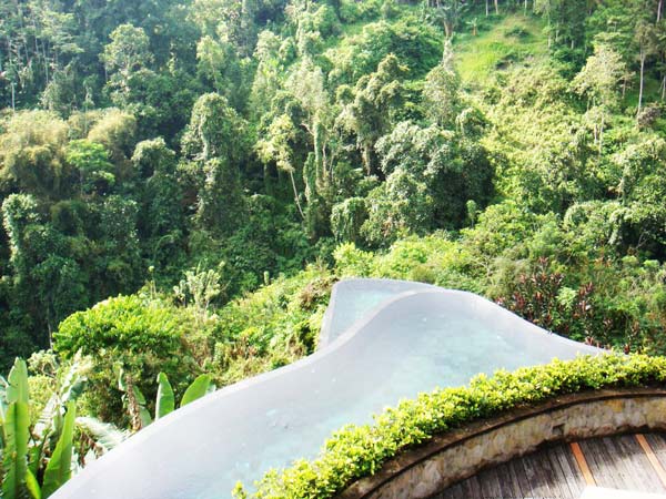 Impressive-pools-in-tropical-forest-3-great-atmosphere