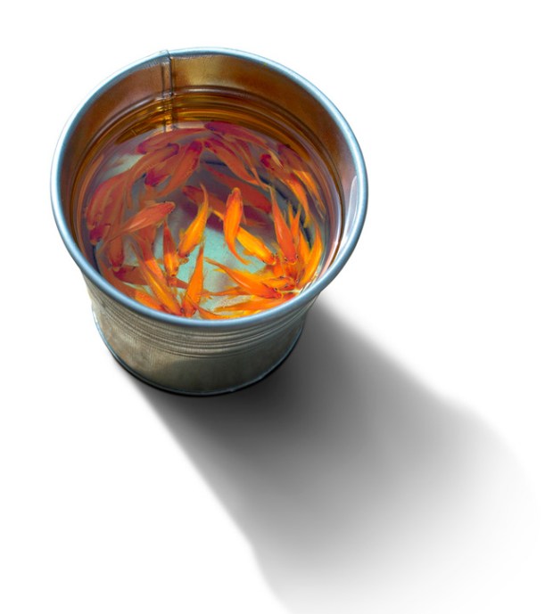 Three Dimensional Animals Painted in Layers of Resin by Keng Lye