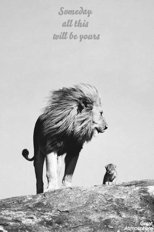Someday-All-This-Will-Be-Yours-great-atmosphere-real-lion-king-photography